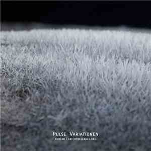 Fubsan - Pulse Variationen album flac