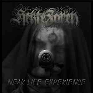Hekte Zaren - Near Life Experience album flac
