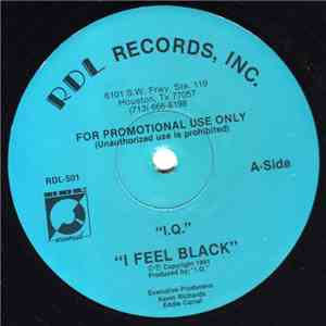 I.Q.  - I Feel Black / Funk E Nuff album flac