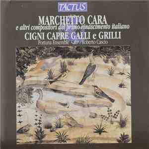 Marchetto Cara, Various - Fortuna Ensemble, Roberto Cascio - Marchetto Cara E Altri Compositori Del Primo Rinascimento Italiano - Cigni Capre Galli E Grilli - Musiche Dal Bestiario Rinascimentale album flac