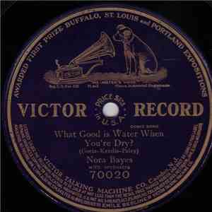 Nora Bayes - What Good Is Water When You're Dry? album flac