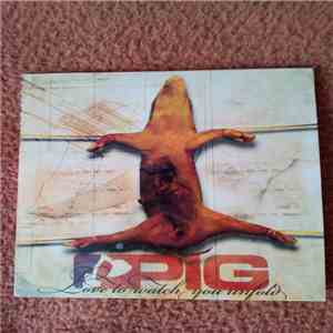 Pig - Love To Watch You Unfold album flac
