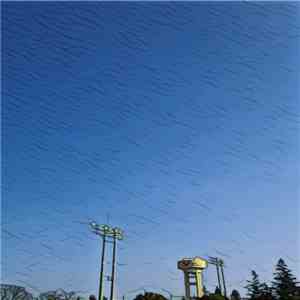 re-Peat - Free will under the sky e.p album flac