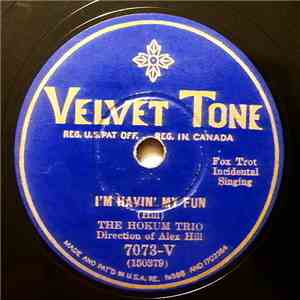 The Hokum Trio - I'm Havin' My Fun / He Wouldn't Stop Doing It album flac