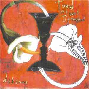 Toad The Wet Sprocket - Dulcinea album flac