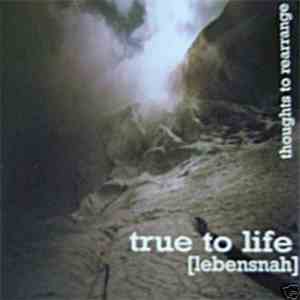 True To Life [Lebensnah] - Thoughts To Rearrange album flac