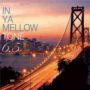 Various - In Ya Mellow Tone 6.5 album flac