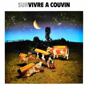 Various - Survivre A Couvin album flac