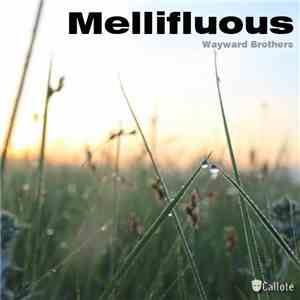 Wayward Brothers - Mellifluous album flac