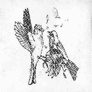 Abus - Abus album flac