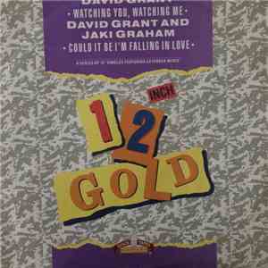 David Grant / Jaki Graham - Watching You, Watching Me / Could It Be I'm Falling In Love album flac
