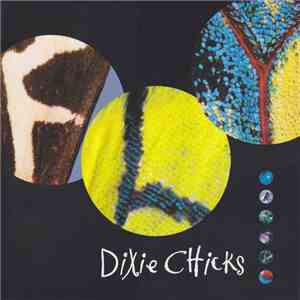 Dixie Chicks - Fly album flac