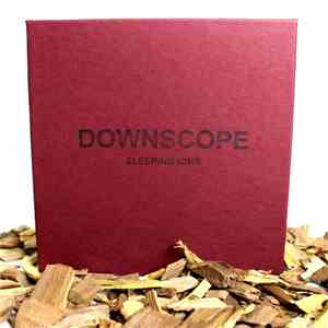 Downscope - Ion Box album flac