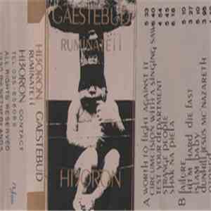 Hi3oron - Gaestebud Ruminate II album flac