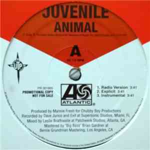 Juvenile  - Animal / Holla Back album flac