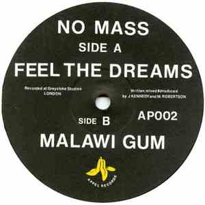 No Mass - Feel The Dreams album flac