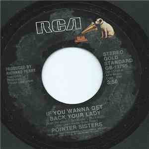 Pointer Sisters - If You Wanna Get Back Your Lady / I Need You album flac
