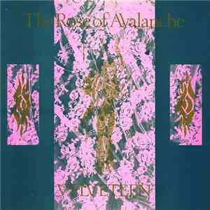 The Rose Of Avalanche - Velveteen album flac