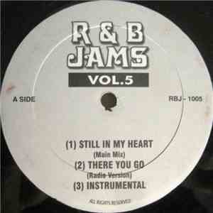 Various - R&B Jams Vol.5 album flac