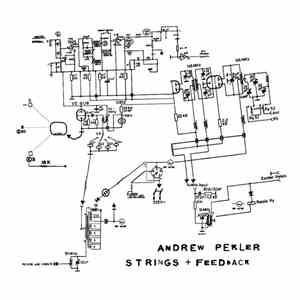 Andrew Pekler - Strings + Feedback album flac