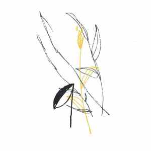 Benoit Pioulard - Slow Spark, Soft Spoke album flac