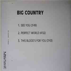 Big Country - See You album flac