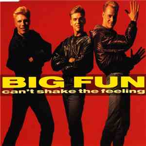Big Fun - Can't Shake The Feeling album flac