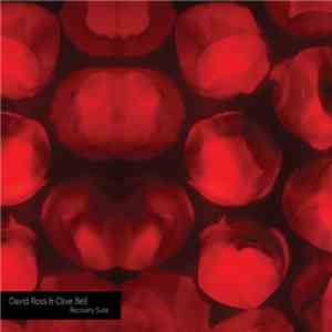 David Ross  & Clive Bell - Recovery Suite album flac