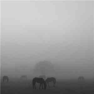 Imbaru - El Cerro Y La Penumbra album flac
