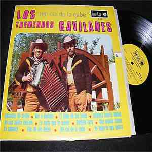Los Tremendos Gavilanes - Me Cai de la Nube album flac