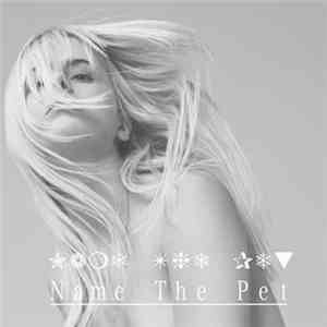 Name The Pet - Sunshine album flac