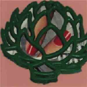 Orchid Spangiafora - 2/3 Of A Trivet album flac