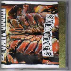 Shalocins / Transitional Forms - Terror Tapes Vol 56 album flac