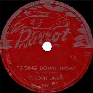 St. Louis Jimmy - Going Down Slow / Murder In The First Degree album flac