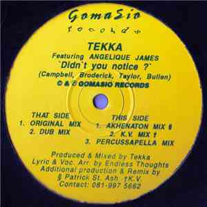Tekka Featuring Angelique James - Didn't You Notice ? album flac