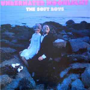The Soft Boys - Underwater Moonlight album flac