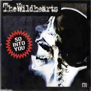 The Wildhearts - So Into You album flac