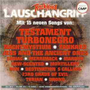 Various - Lauschangriff Volume 013 album flac