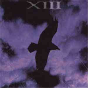XIII - Salt album flac