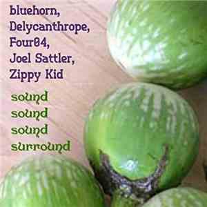 Zippy Kid, Joel Sattler, Delycanthrope, Four04, Bluehorn - Sound Sound Sound Surround album flac