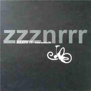 ZzzNRrr - Intra Auriculär album flac