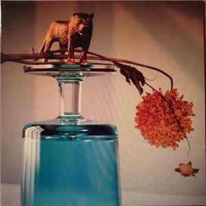 Beirut - Gallipoli album flac