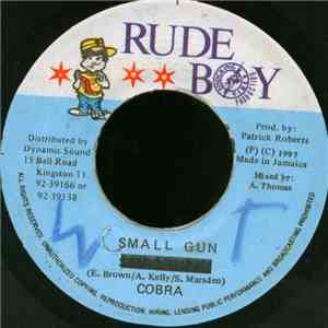Cobra - Small Gun album flac