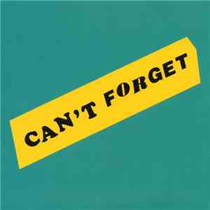The Lemonheads - Can't Forget / Wild Child album flac