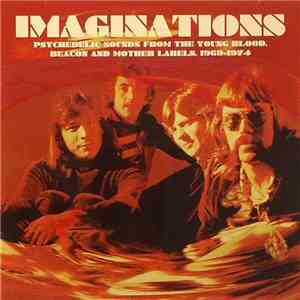 Various - Imaginations album flac