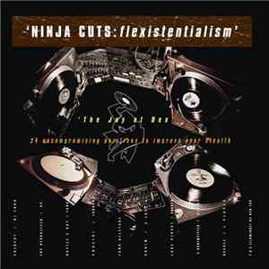 Various - Ninja Cuts: Flexistentialism album flac