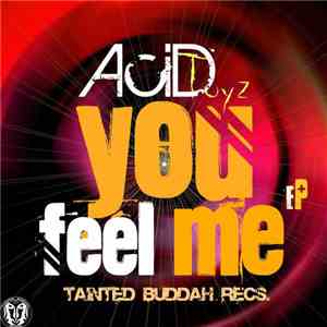 AcidToyz - You Feel Me album flac