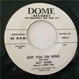 Gay Tunes - Got You On My Mind / Don't Go album flac