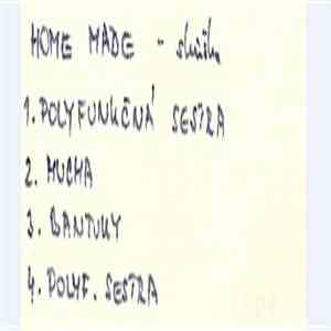Home Made - Skúška (Garáž Dzúrikovcov) album flac
