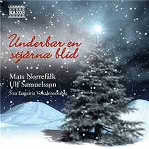Mats Norrefalk, Ulf Samuelsson , S:ta Eugenia Vokalensemble - Underbar En Stjärna Blid album flac
